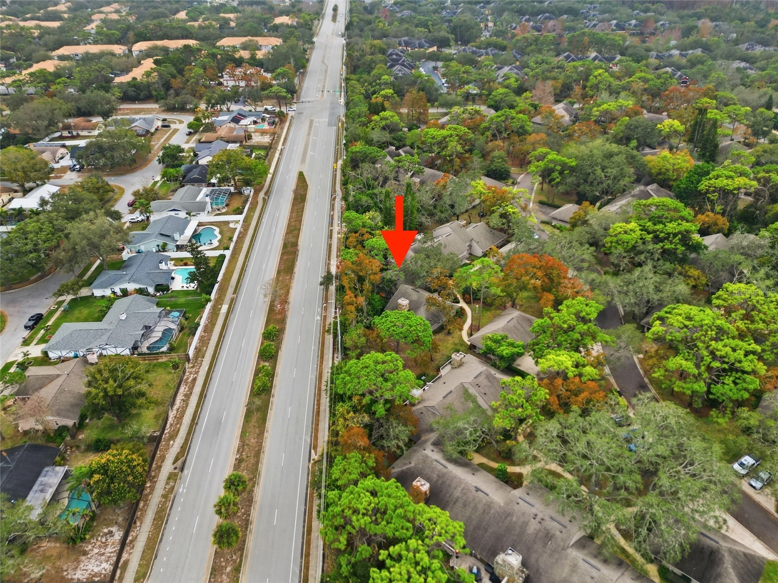 602 Old Mill Pond Road Palm Harbor FL 34683 TB8464192 image27
