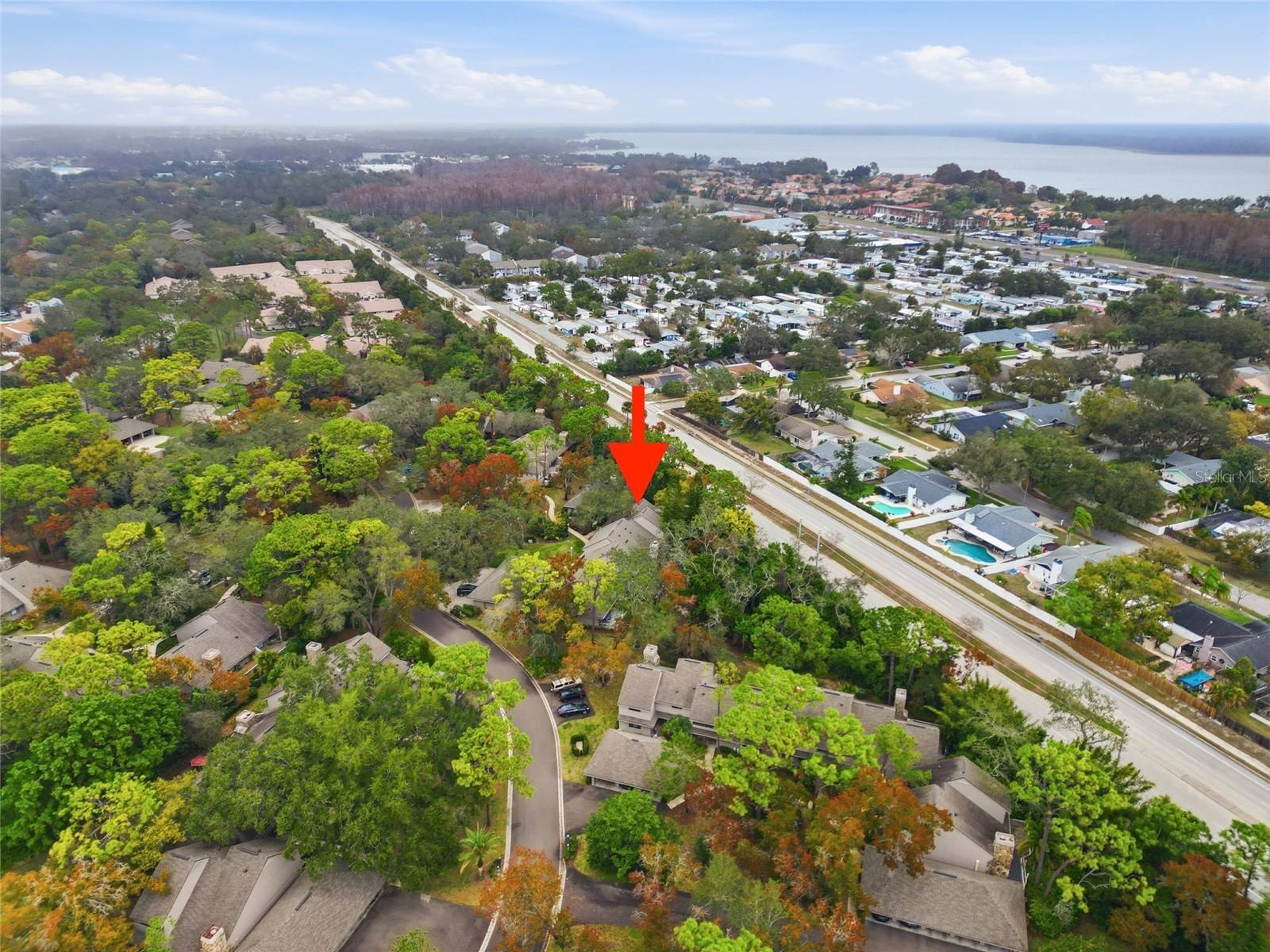 602 Old Mill Pond Road Palm Harbor FL 34683 TB8464192 image28