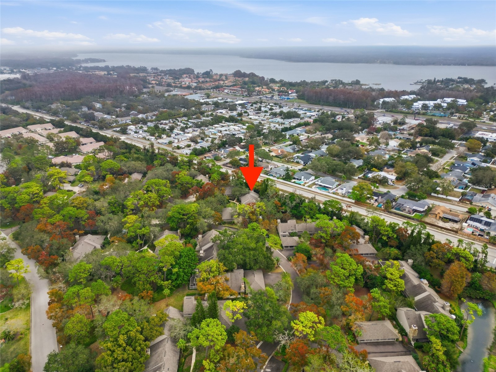 602 Old Mill Pond Road Palm Harbor FL 34683 TB8464192 image29