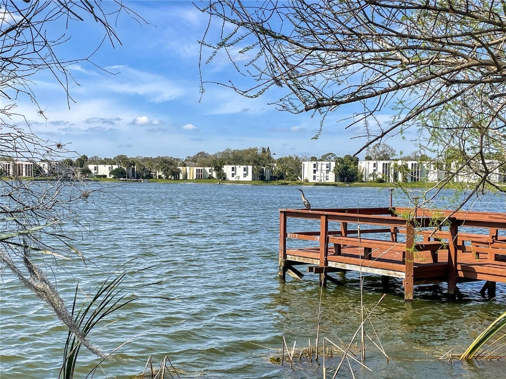 602 Orange Drive #170 Altamonte Springs FL 32701 - LAKE ORIENTA O6371430 image17