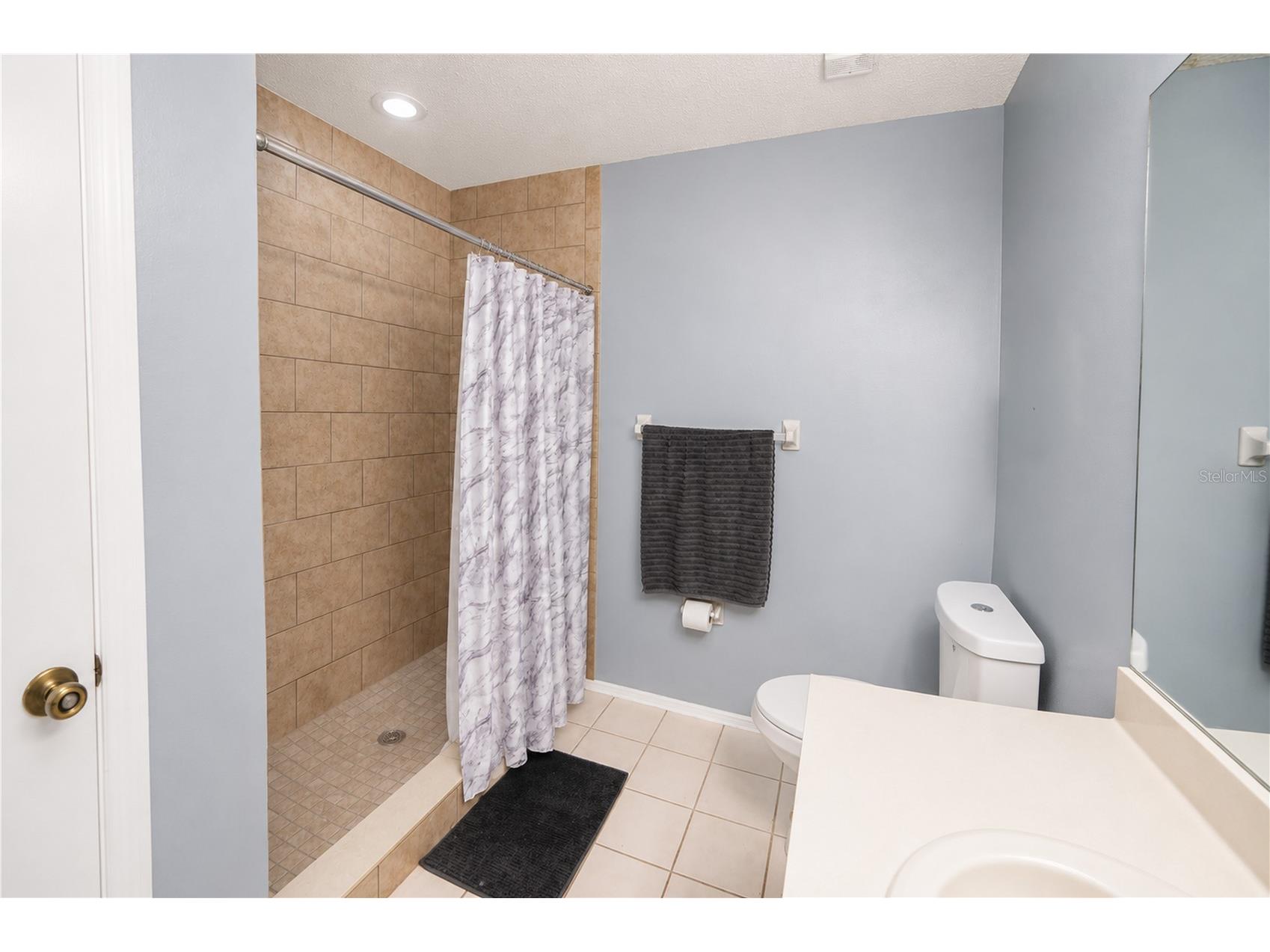 602 Saint Henry Drive Brandon FL 33511 O6415423 image18