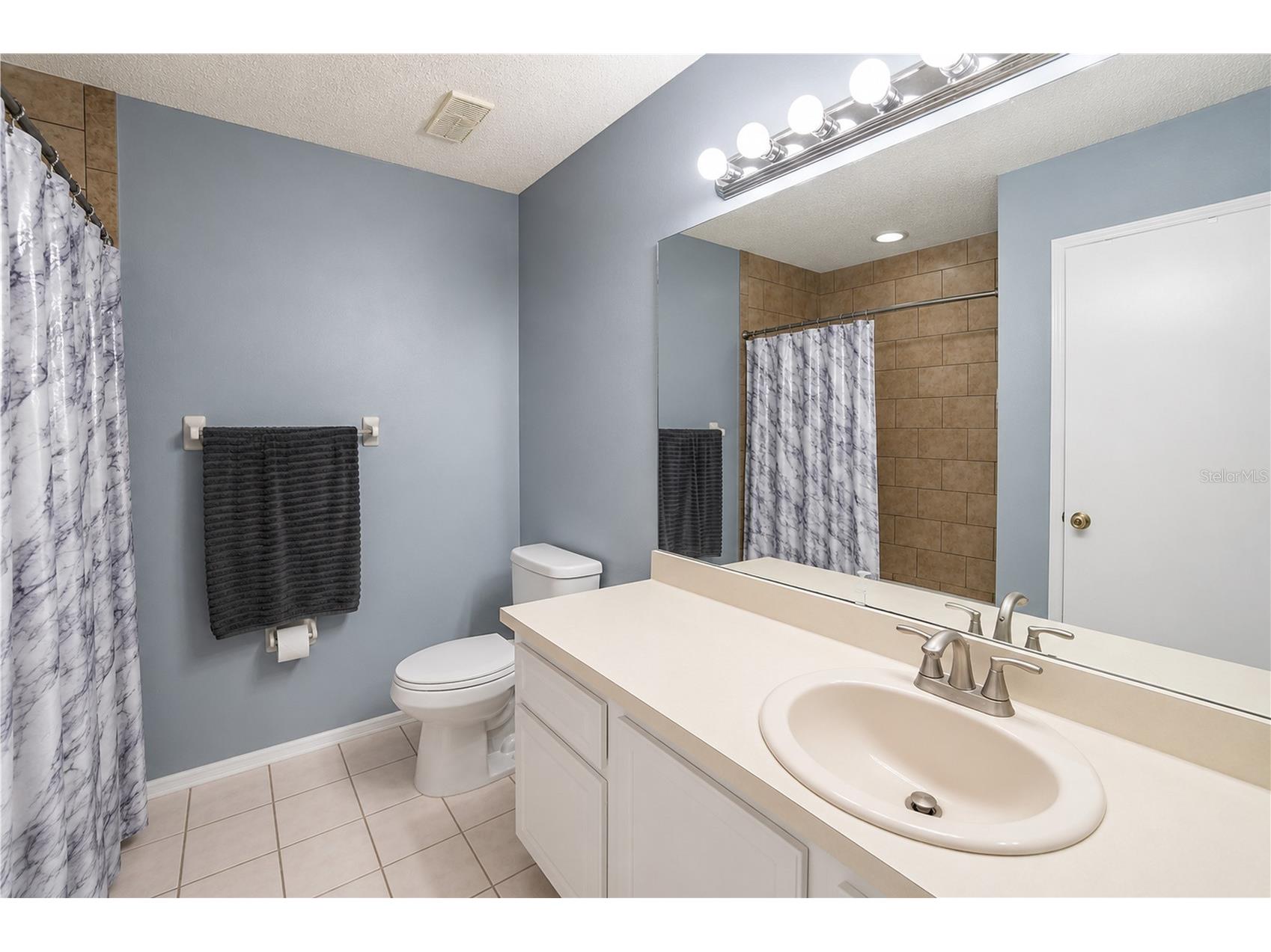 602 Saint Henry Drive Brandon FL 33511 O6415423 image19