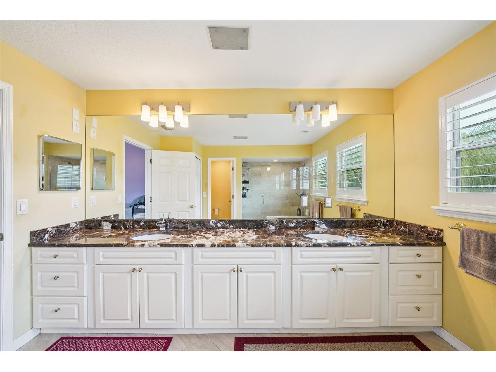602 Seabreeze Court Tampa FL 33602 - POND TB8475254 image48