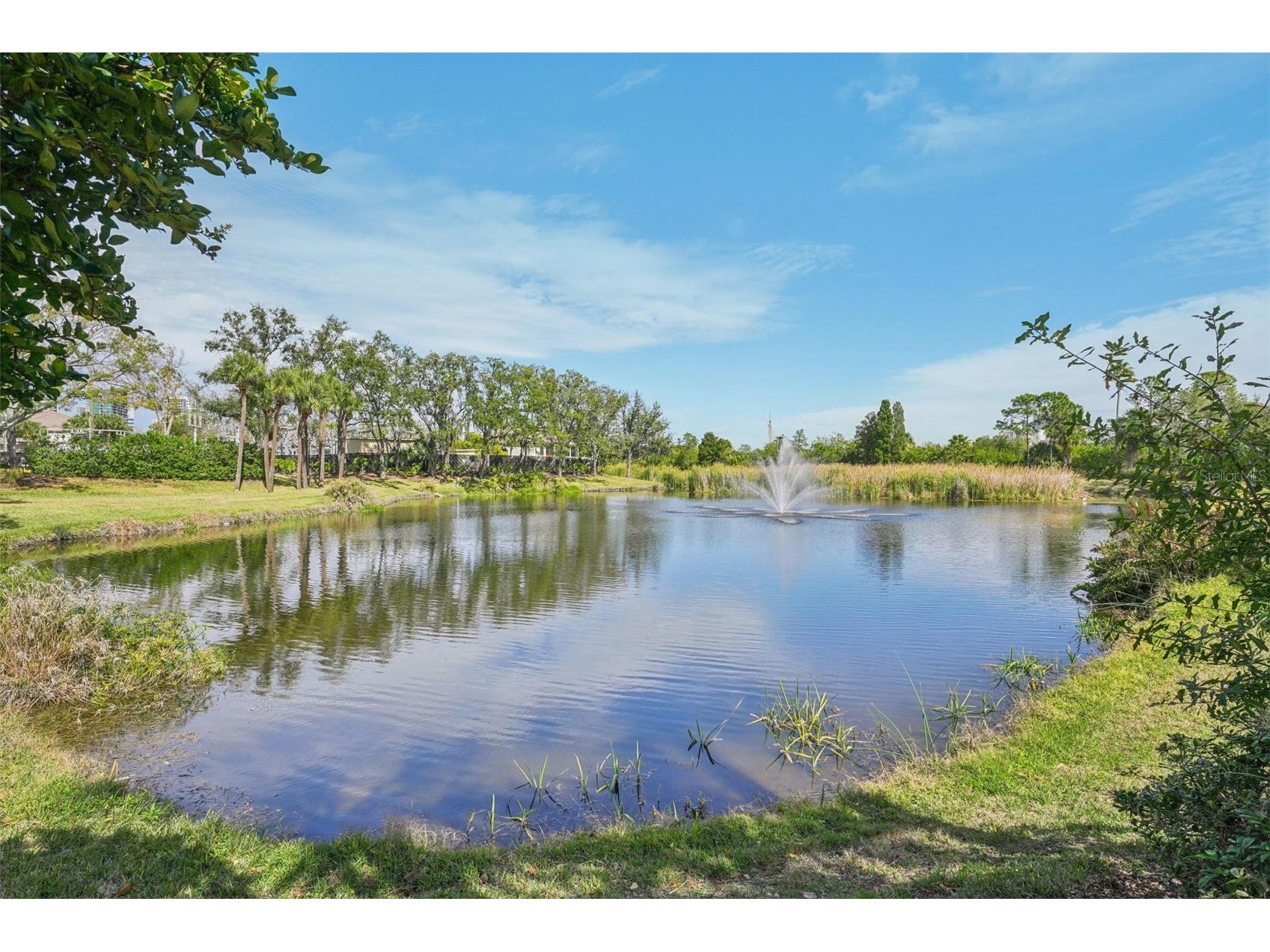 602 Seabreeze Court Tampa FL 33602 - POND TB8475254 image72