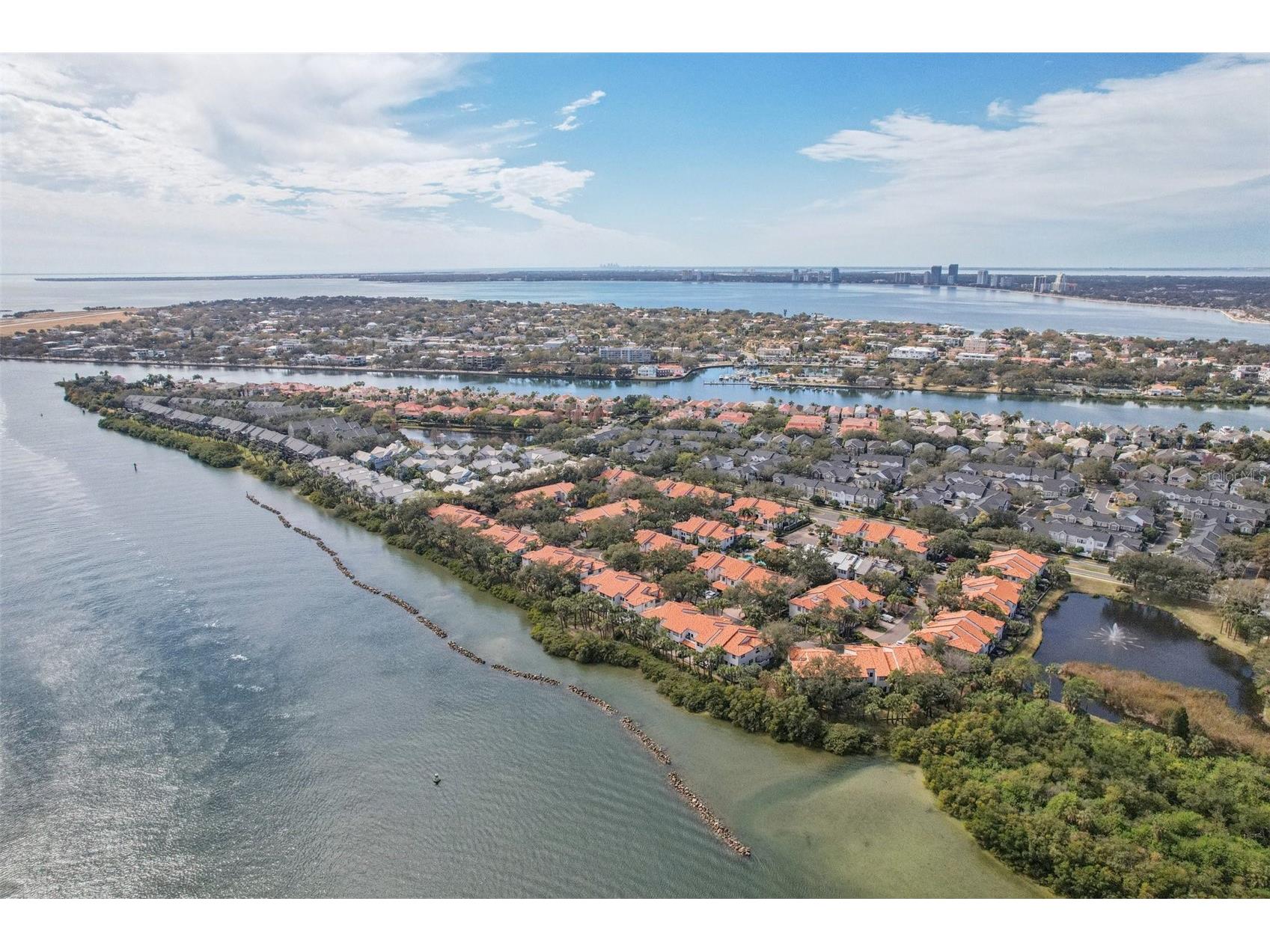 602 Seabreeze Court Tampa FL 33602 - POND TB8475254 image84