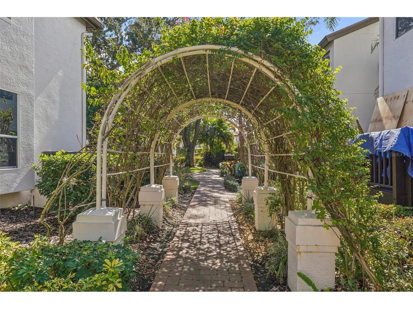 602 Seabreeze Court Tampa FL 33602 - POND TB8475254 image92