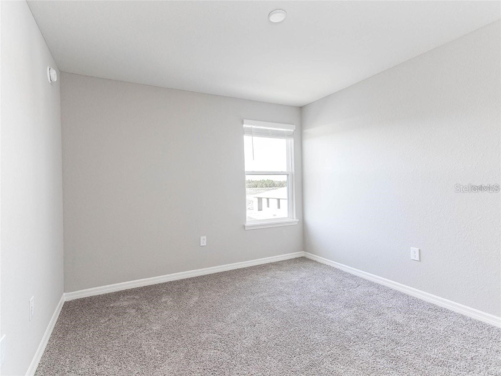 6020 Ballast Drive Wimauma FL 33598 L4955273 image11