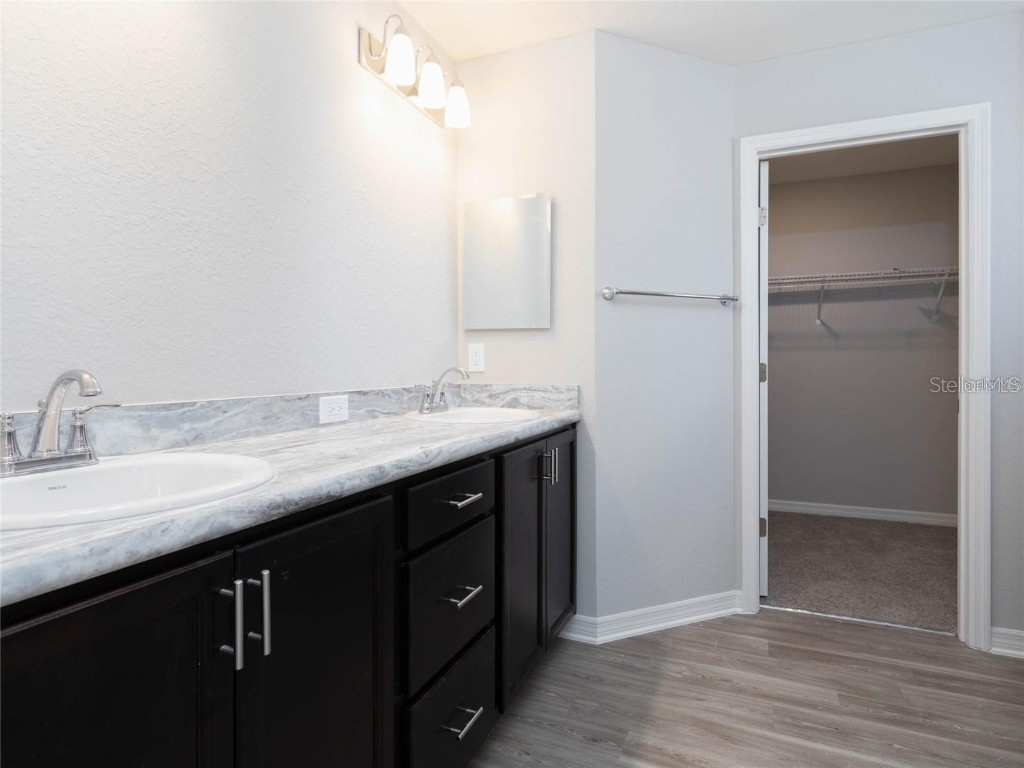 6020 Ballast Drive Wimauma FL 33598 L4955273 image17