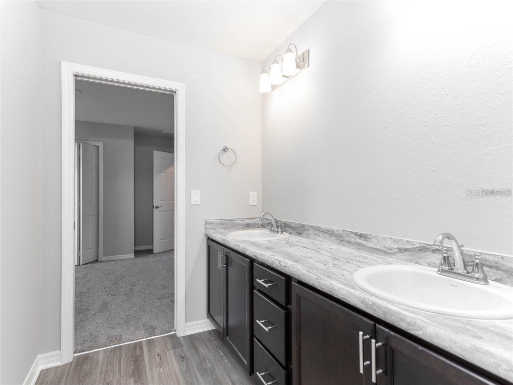 6020 Ballast Drive Wimauma FL 33598 L4955273 image19