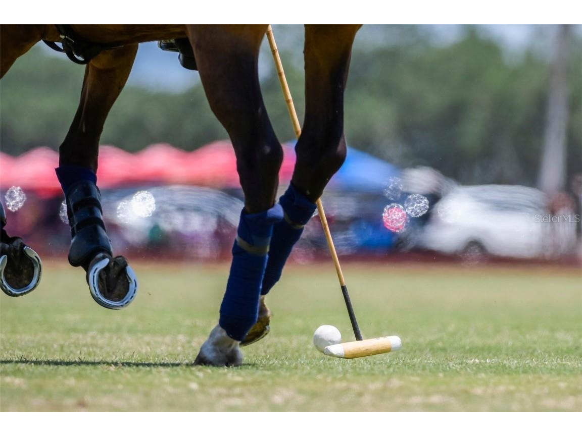 6020 County Road 675 Bradenton FL 34211 A4660214 image46