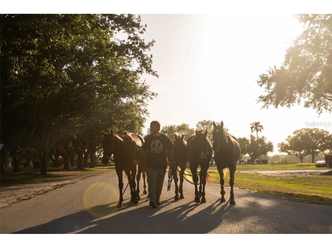 6020 County Road 675 Bradenton FL 34211 A4660214 image47