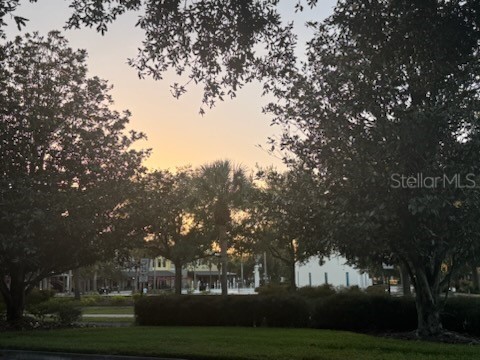 6020 Fishhawk Crossing Boulevard Lithia FL 33547 TB8445247 image51