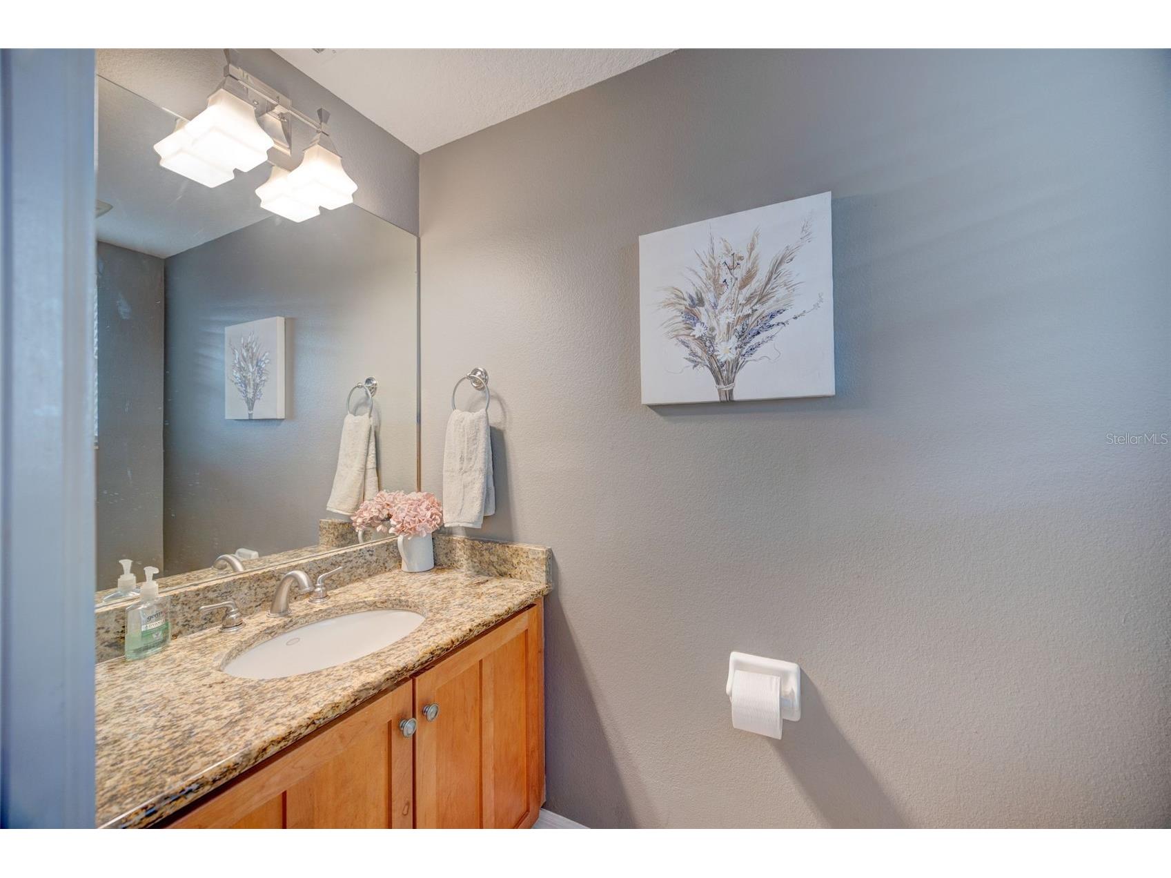 6020 Fishhawk Crossing Boulevard #NA Lithia FL 33547 TB8472963 image44