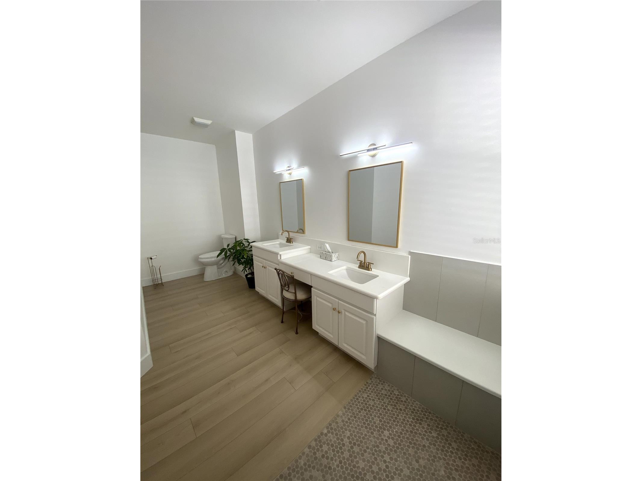 6020 Martinglade Place Lithia FL 33547 A4683584 image10
