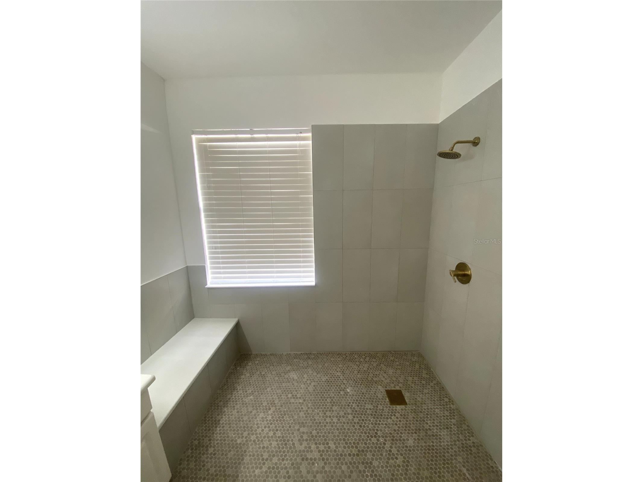 6020 Martinglade Place Lithia FL 33547 A4683584 image11