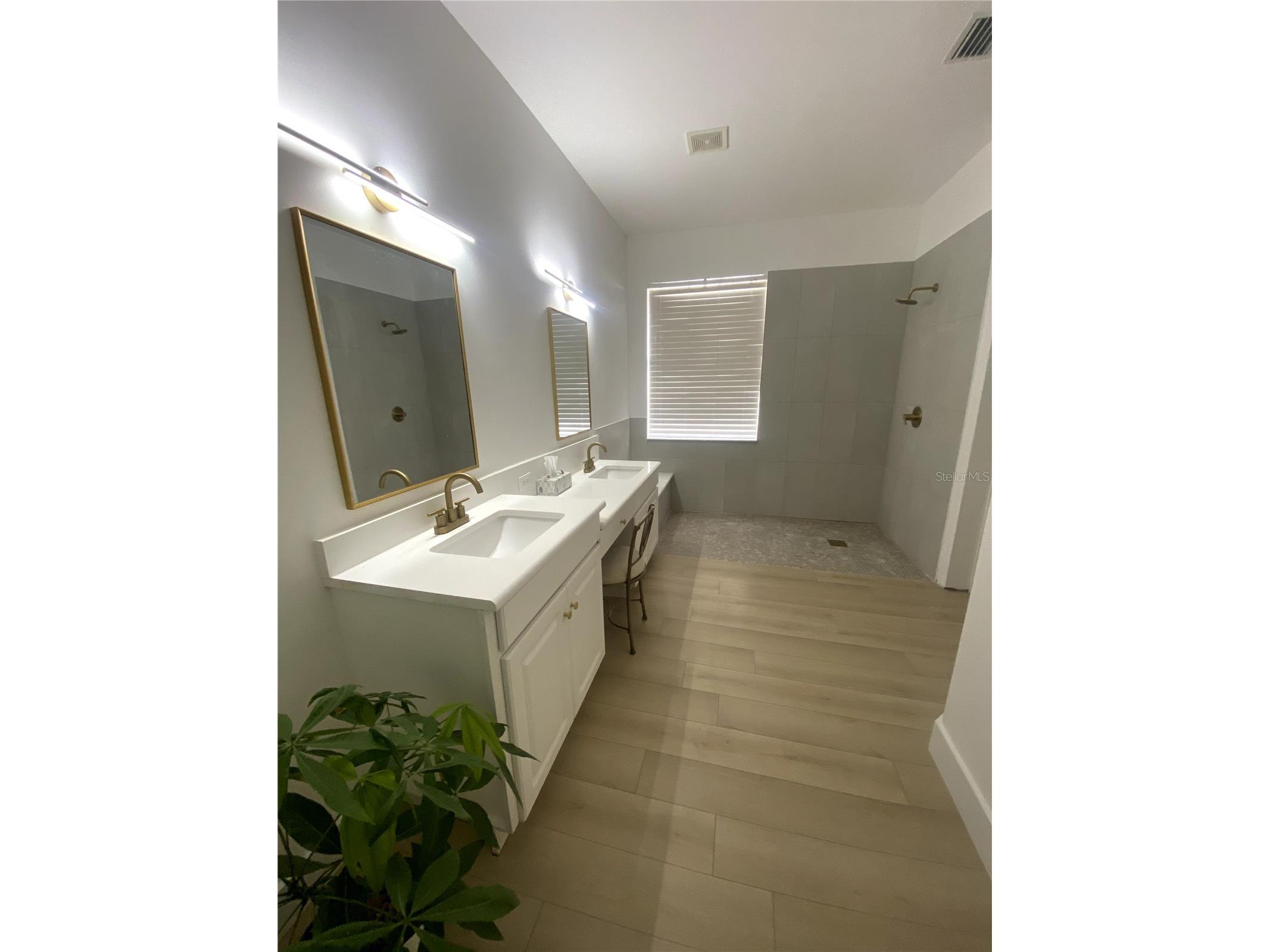 6020 Martinglade Place Lithia FL 33547 A4683584 image12
