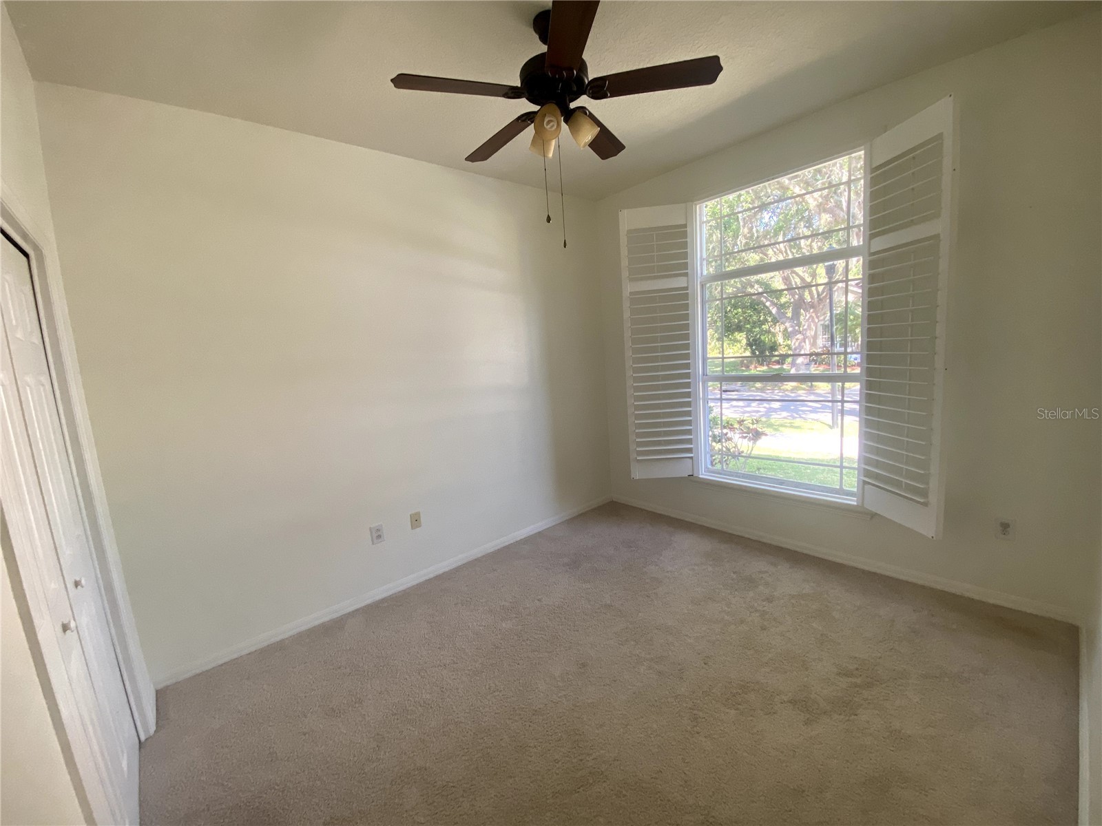6020 Martinglade Place Lithia FL 33547 A4683584 image14
