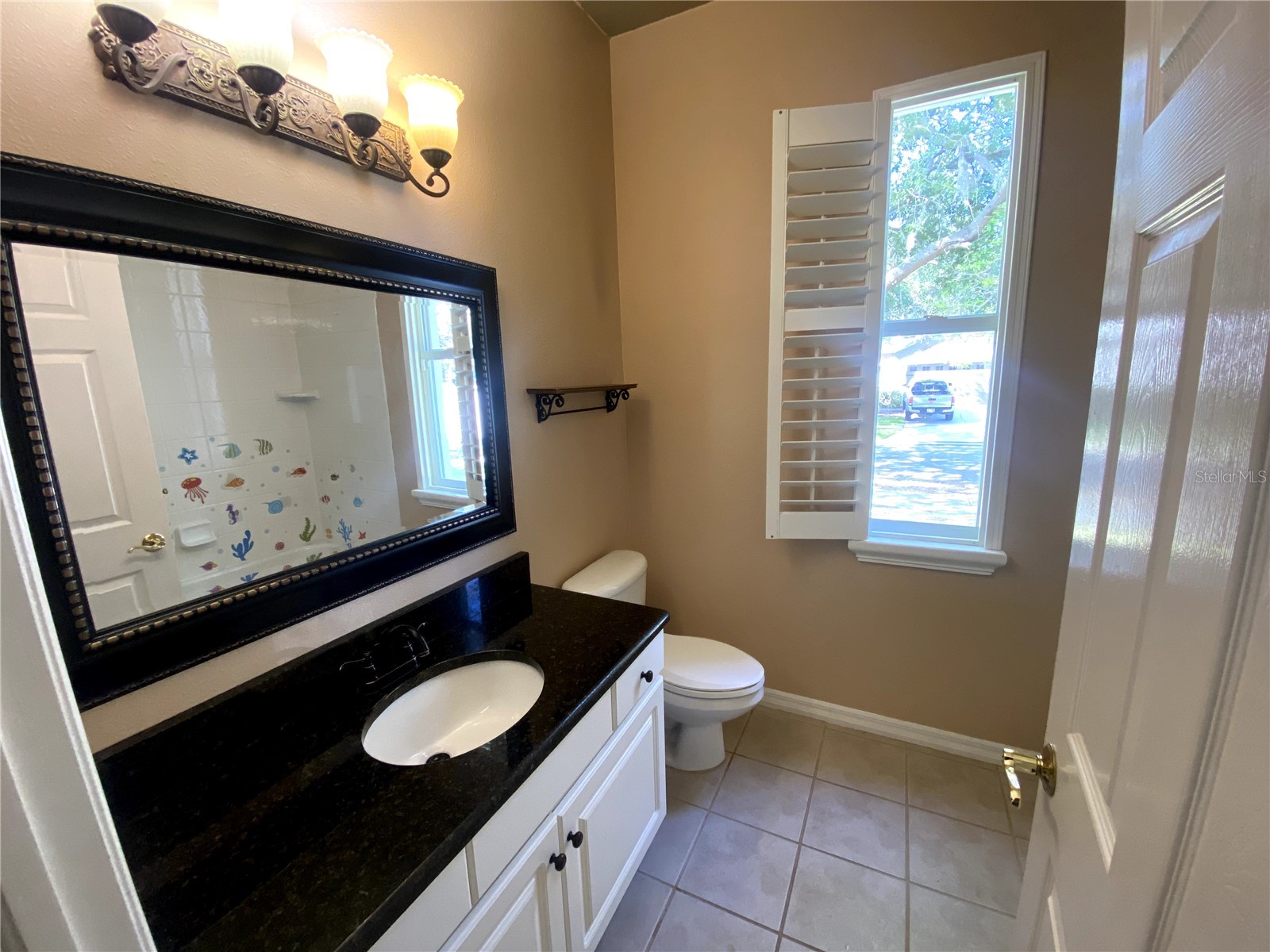 6020 Martinglade Place Lithia FL 33547 A4683584 image15