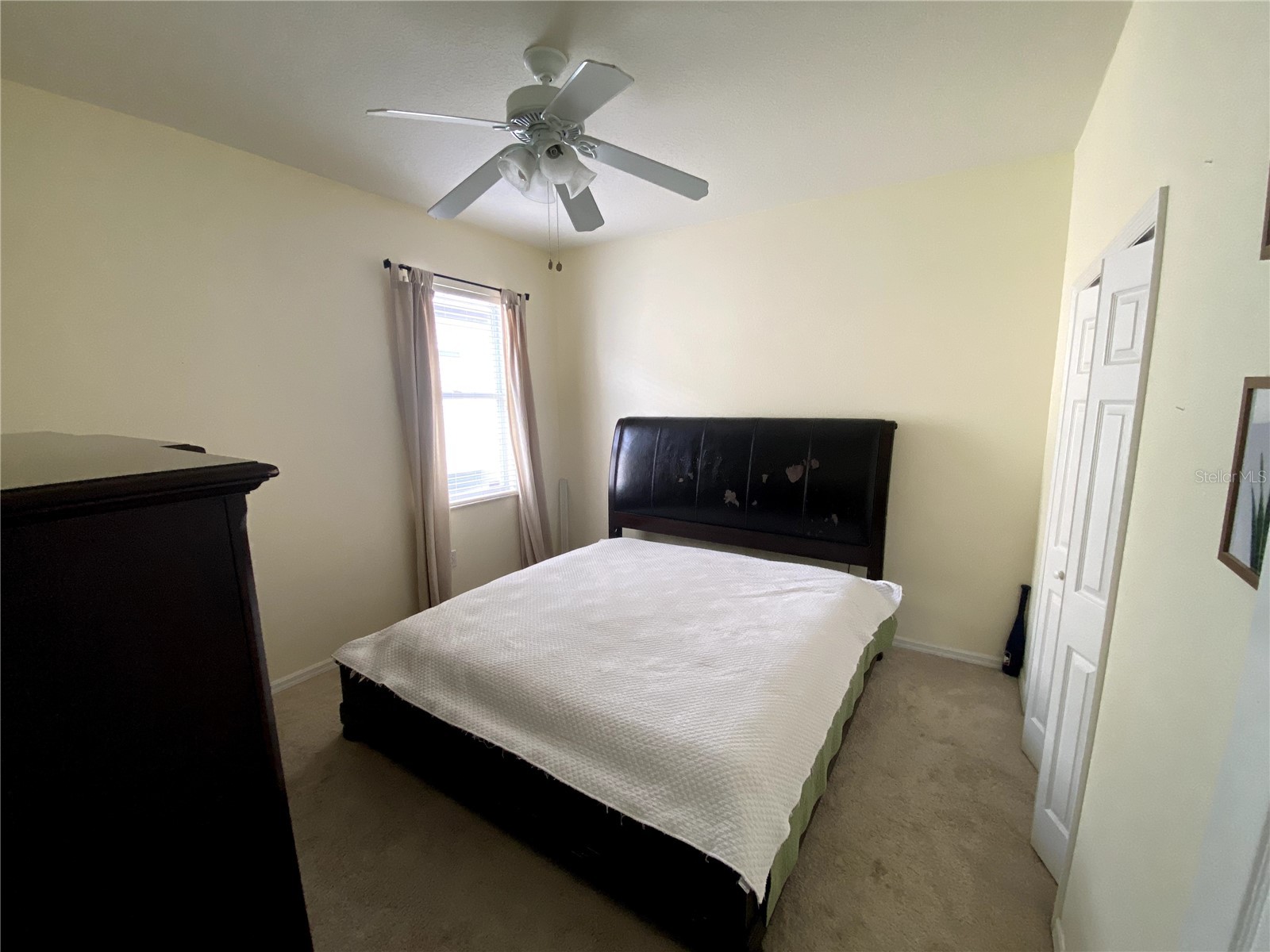 6020 Martinglade Place Lithia FL 33547 A4683584 image16