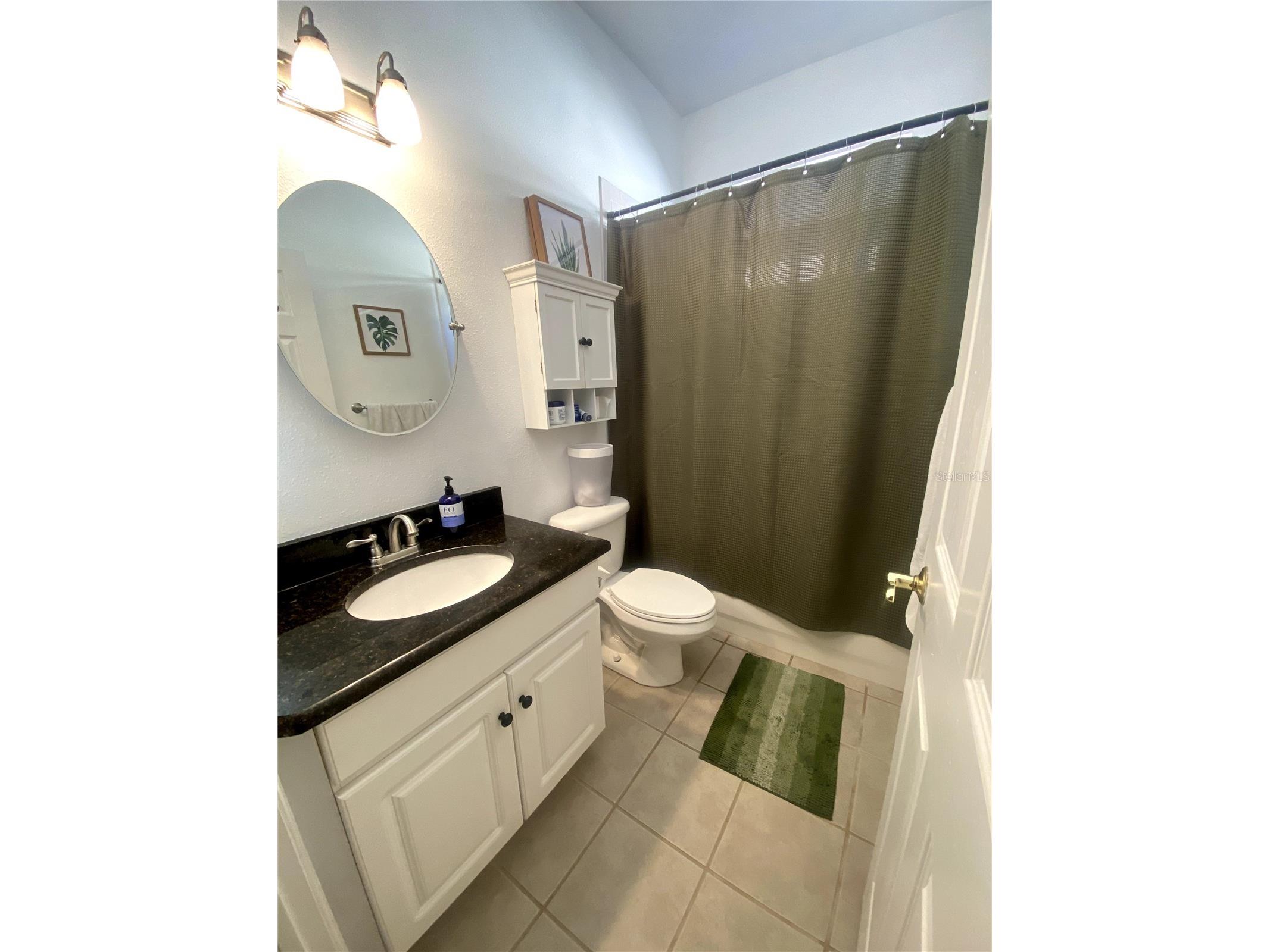 6020 Martinglade Place Lithia FL 33547 A4683584 image17