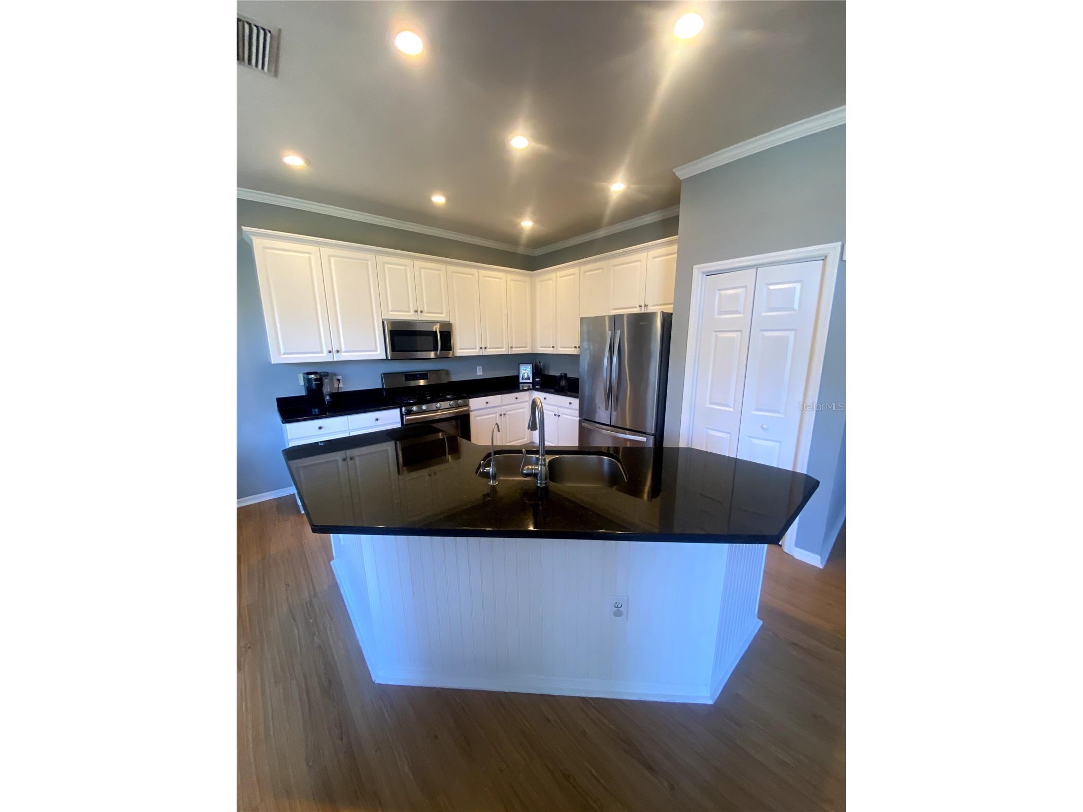 6020 Martinglade Place Lithia FL 33547 A4683584 image3