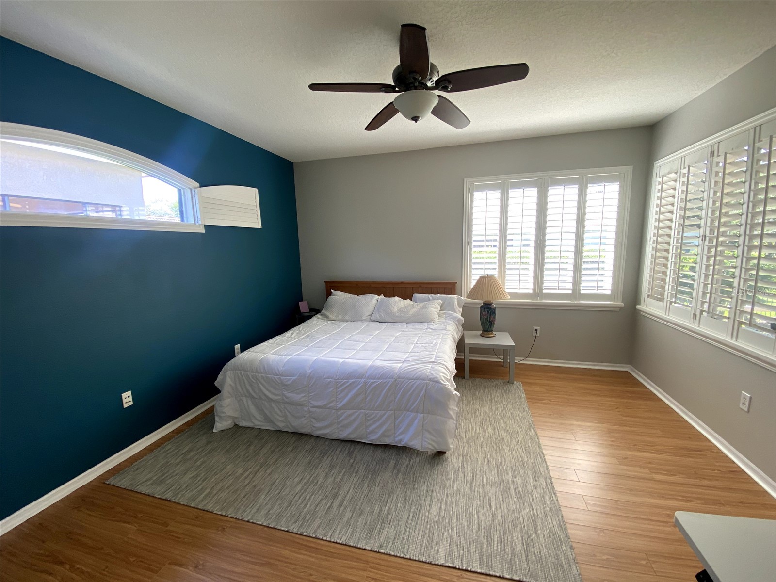 6020 Martinglade Place Lithia FL 33547 A4683584 image9