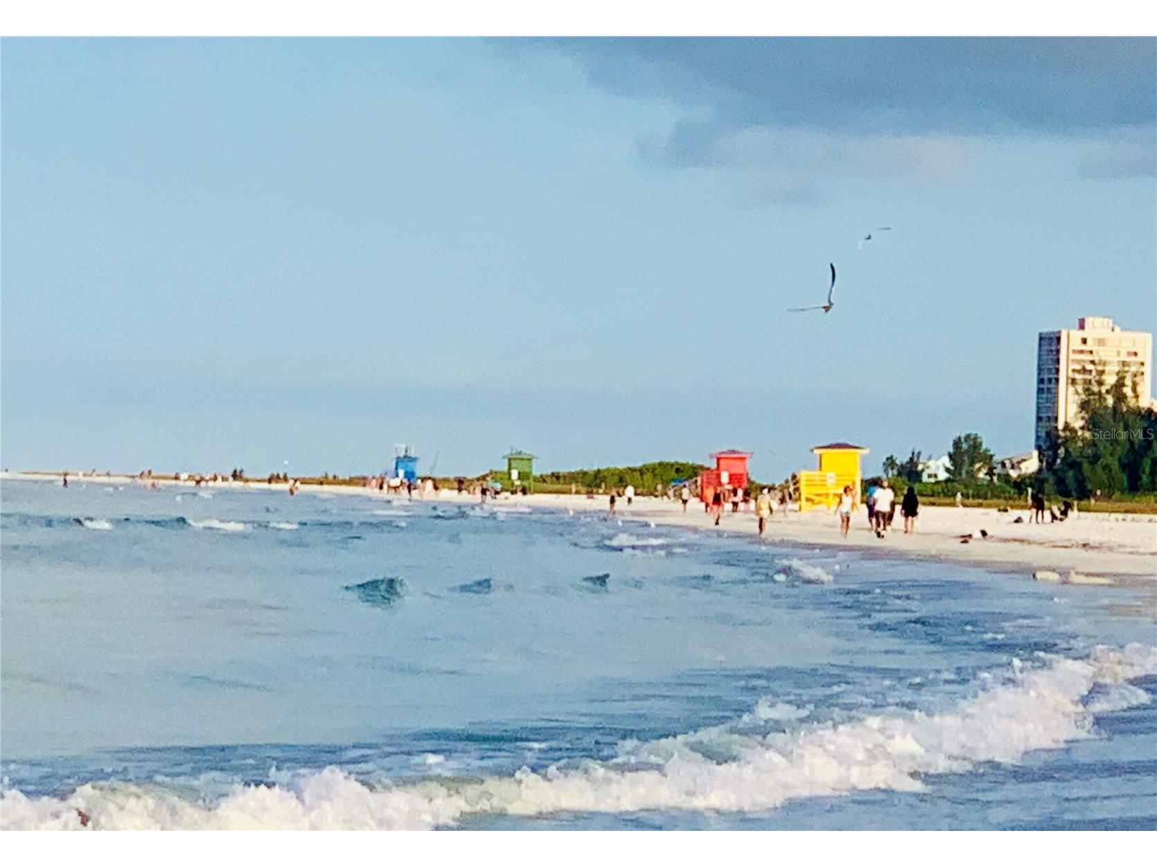 6020 Midnight Pass Road #49 Sarasota FL 34242 - GULF A4698693 image34