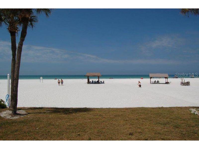 6020 Midnight Pass Road #5 Sarasota FL 34242 TB8466989 image22