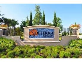 6020 Oak Green Loop Davenport FL 33837 A4669432 image36