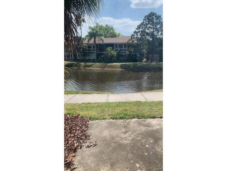 6020 Peregrine Avenue #20B Orlando FL 32819 S5148234 image14