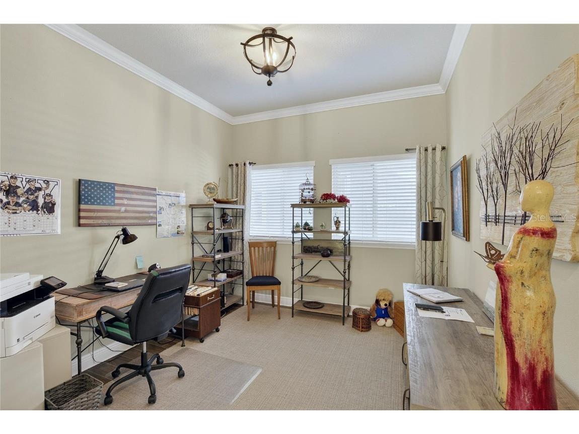 6020 Plover Meadow Street Lithia FL 33547 TB8456522 image17