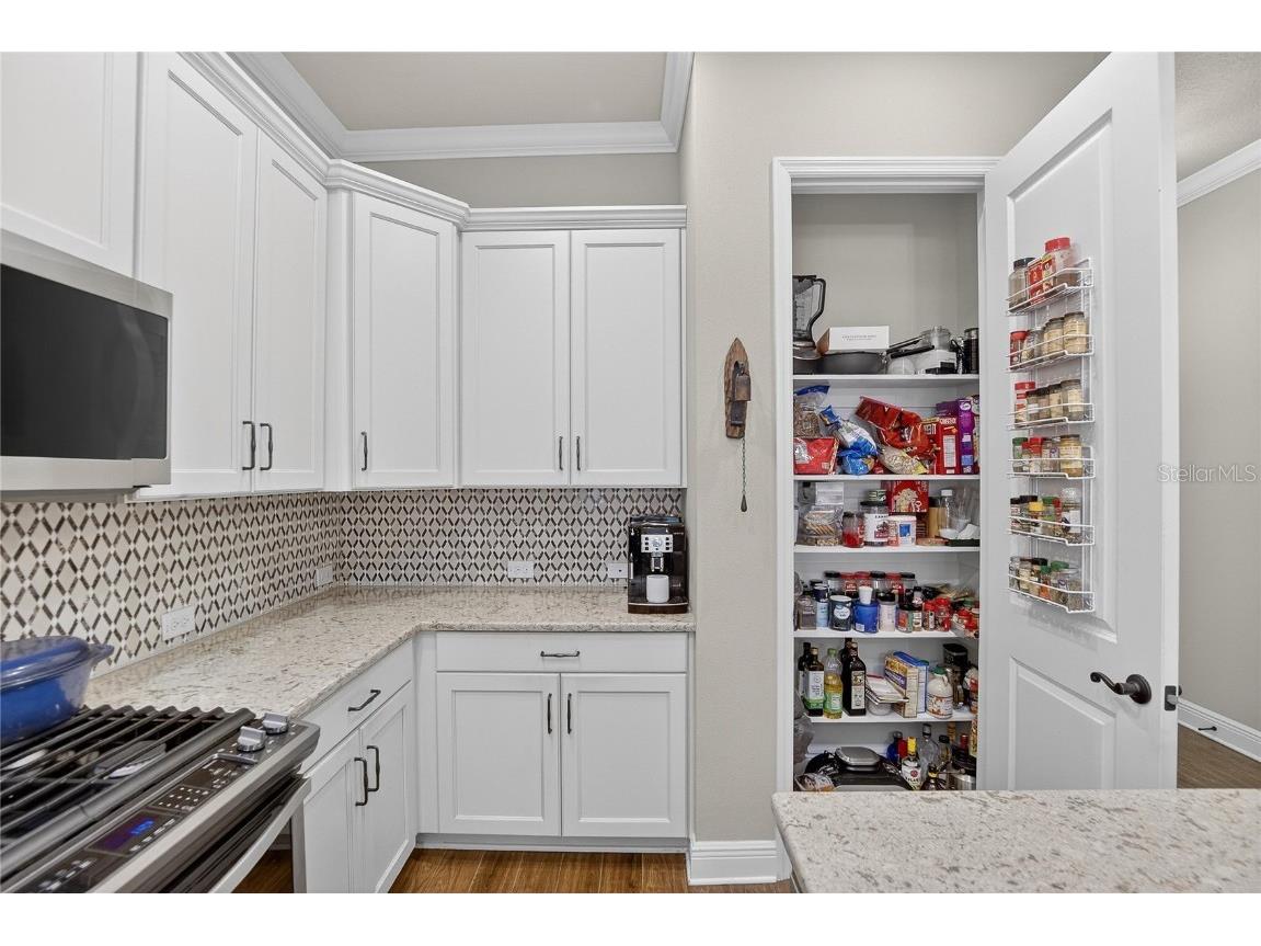 6020 Plover Meadow Street Lithia FL 33547 TB8456522 image6