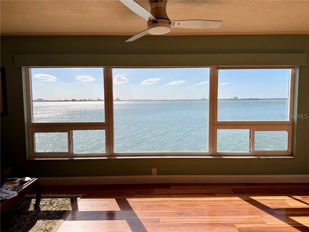 6020 Shore Boulevard S #207 Gulfport FL 33707 TB8450530 image21