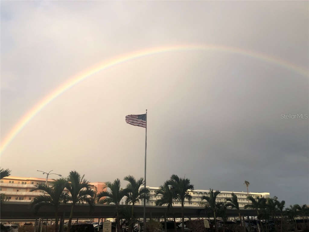 6020 Shore Boulevard S #207 Gulfport FL 33707 TB8450530 image22