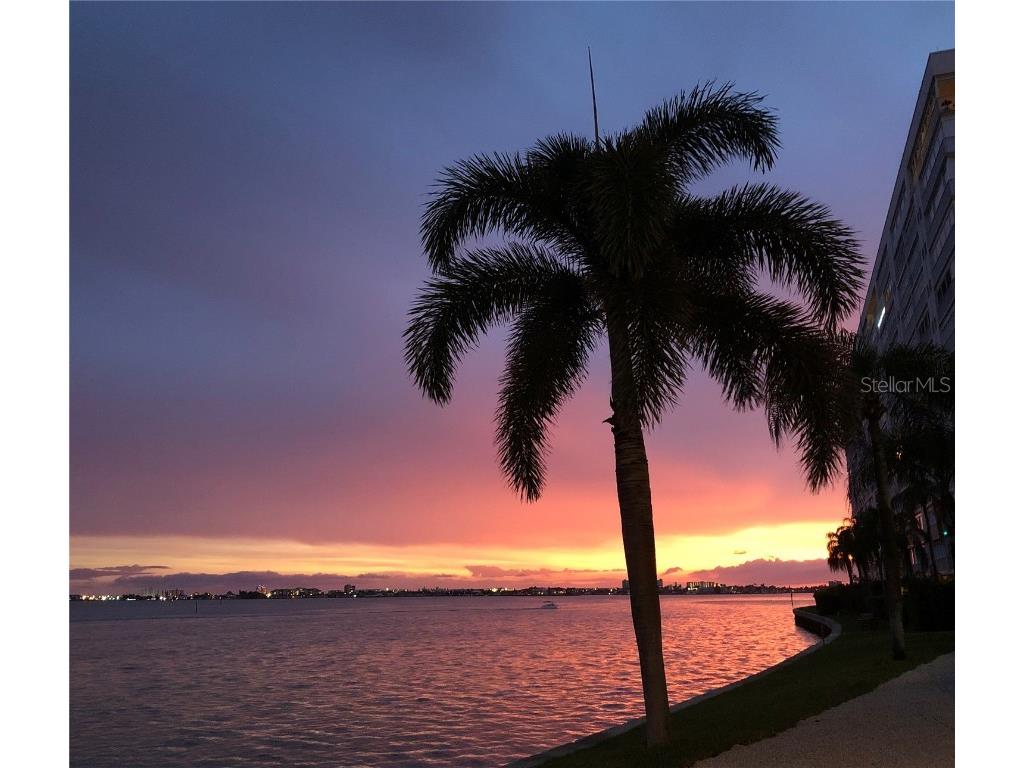 6020 Shore Boulevard S #207 Gulfport FL 33707 TB8450530 image23