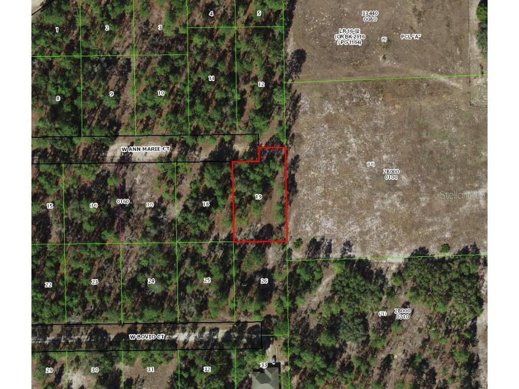 6020 W Ann Marie Court Dunnellon FL 34433 TB8455277 image1