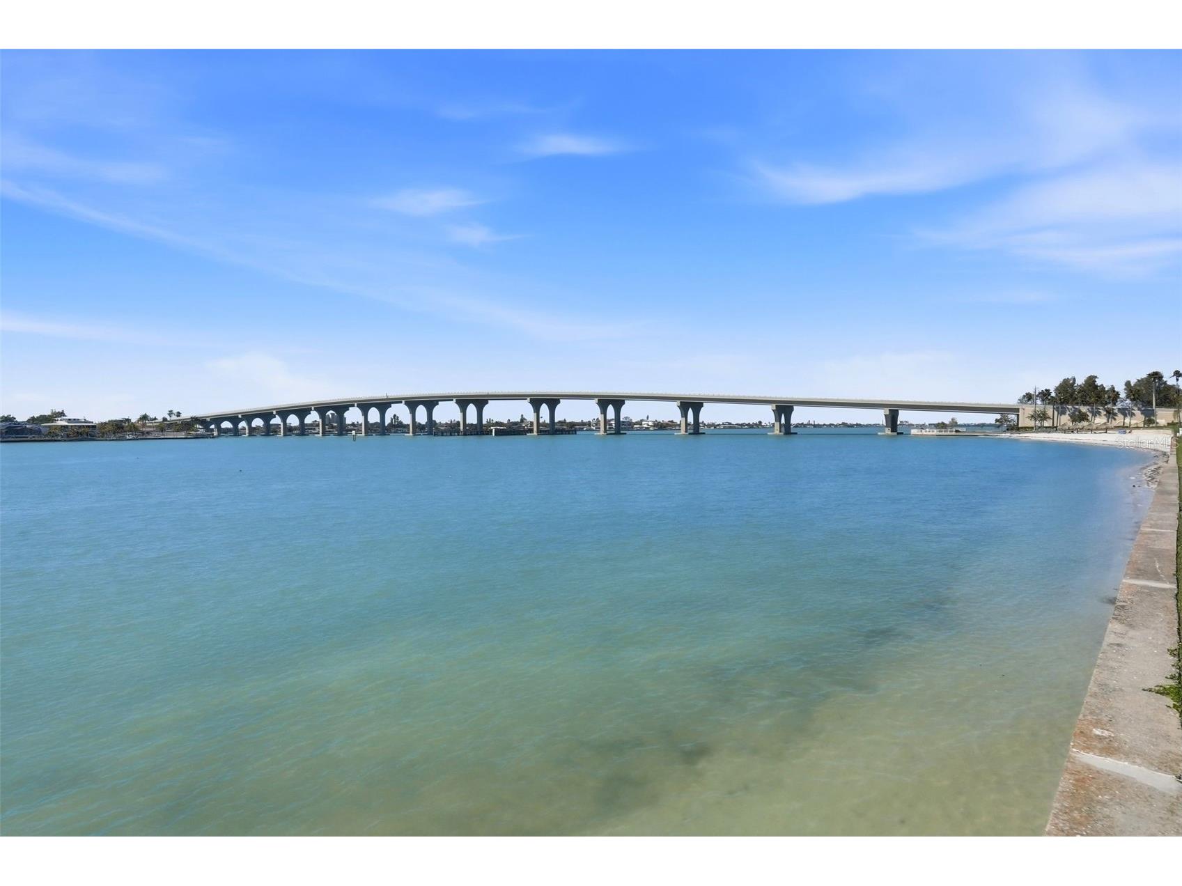 6021 Bahia Del Mar Circle #137 Saint Petersburg FL 33715 TB8433188 image25
