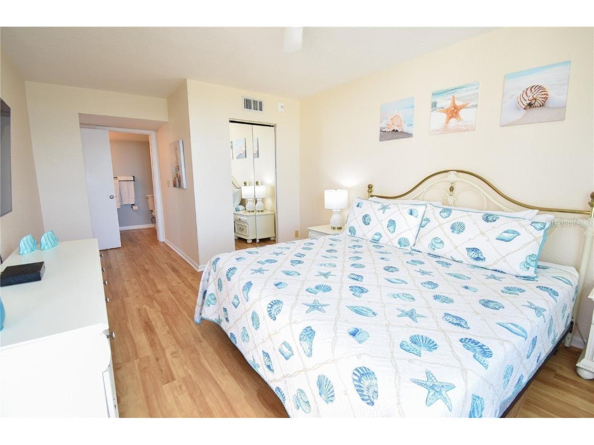 6021 Bahia Del Mar Circle #540 Saint Petersburg FL 33715 - PASS-A-GRILLE CHANNEL TB8443867 image15