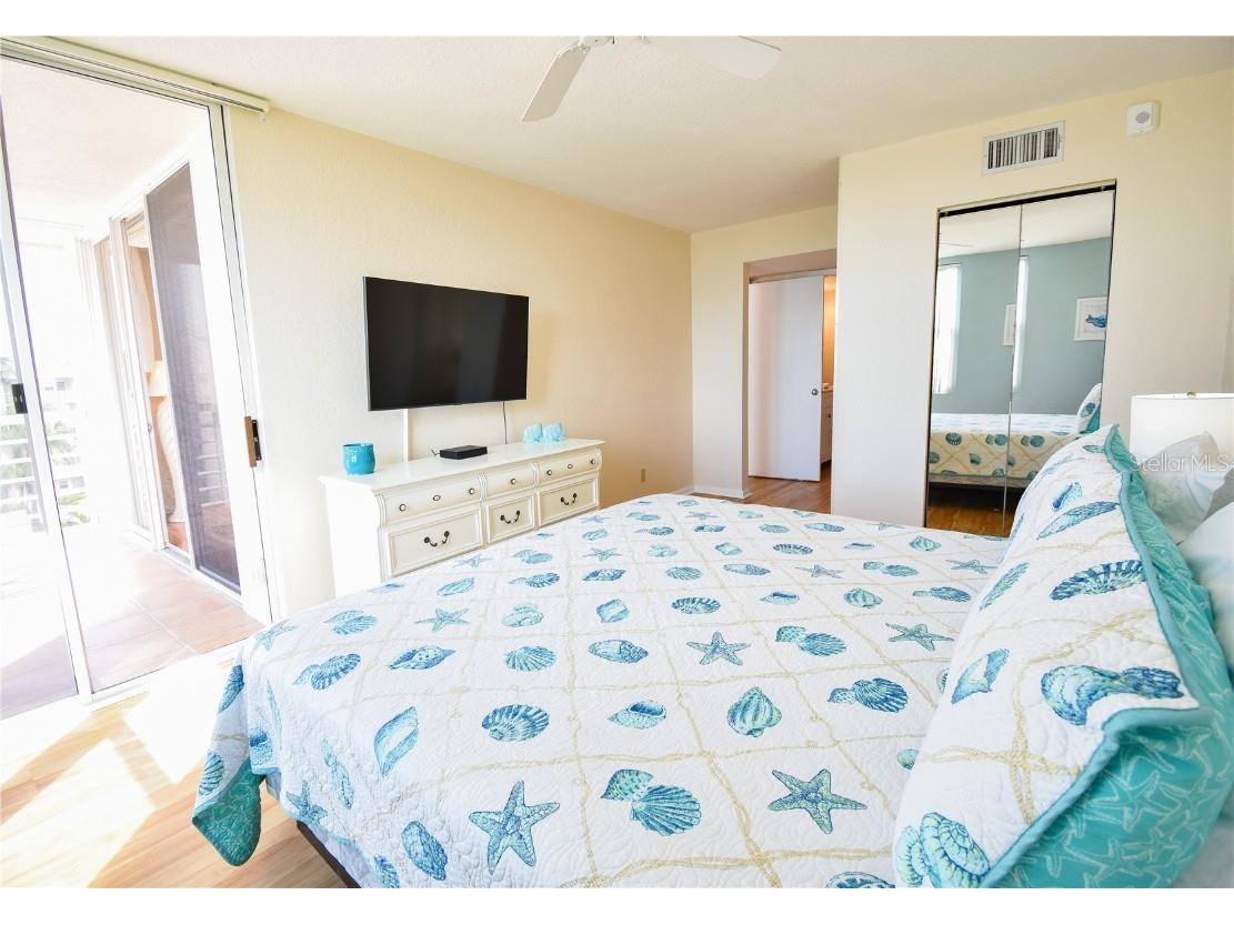 6021 Bahia Del Mar Circle #540 Saint Petersburg FL 33715 - PASS-A-GRILLE CHANNEL TB8443867 image16