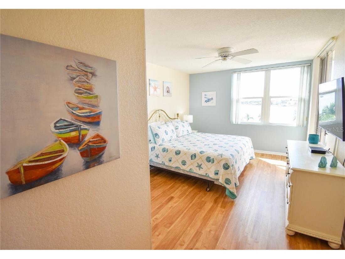 6021 Bahia Del Mar Circle #540 Saint Petersburg FL 33715 - PASS-A-GRILLE CHANNEL TB8443867 image18