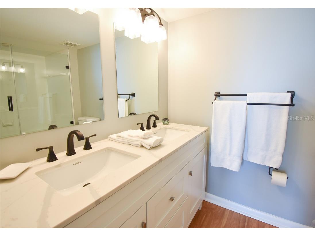 6021 Bahia Del Mar Circle #540 Saint Petersburg FL 33715 - PASS-A-GRILLE CHANNEL TB8443867 image19