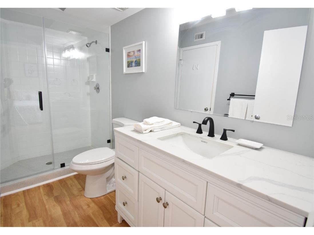 6021 Bahia Del Mar Circle #540 Saint Petersburg FL 33715 - PASS-A-GRILLE CHANNEL TB8443867 image25