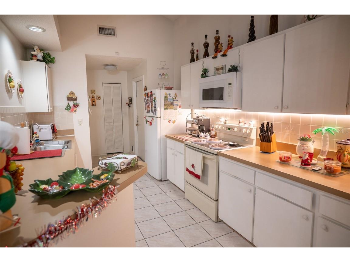 6021 Lemon Tree Court Tampa FL 33625 TB8453624 image11