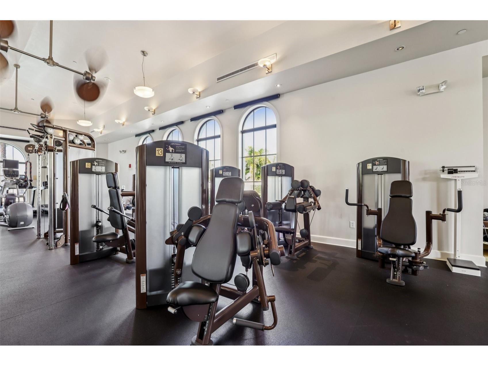 6021 Printery Street #107 Tampa FL 33616 TB8459675 image51