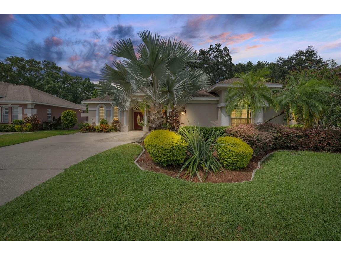 6021 Williamsburg Way Tampa FL 33625 T3470687 image1