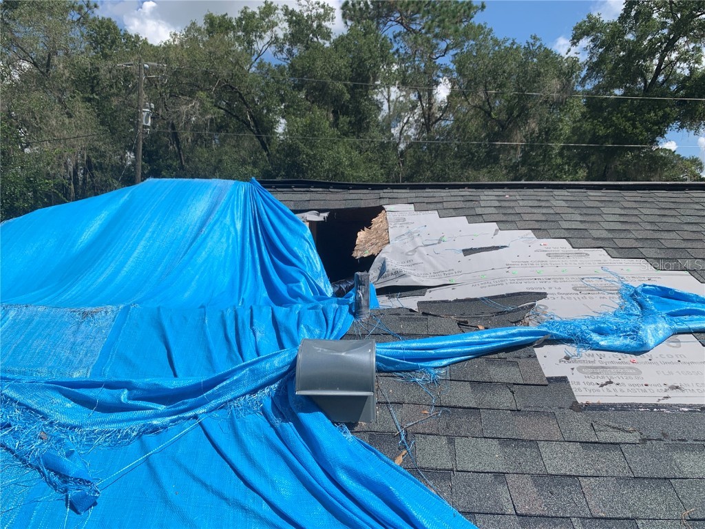 6022 E Tremont Street Inverness FL 34452 TB8354971 image12