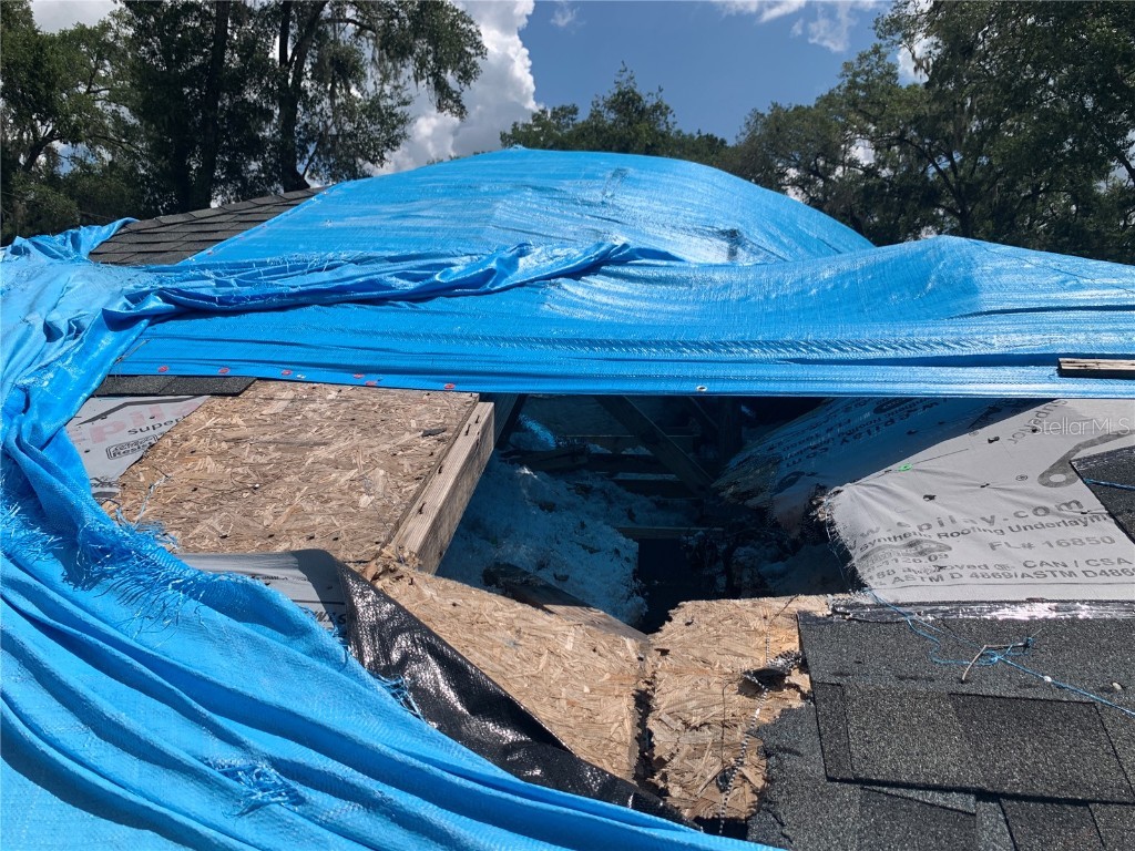 6022 E Tremont Street Inverness FL 34452 TB8354971 image13