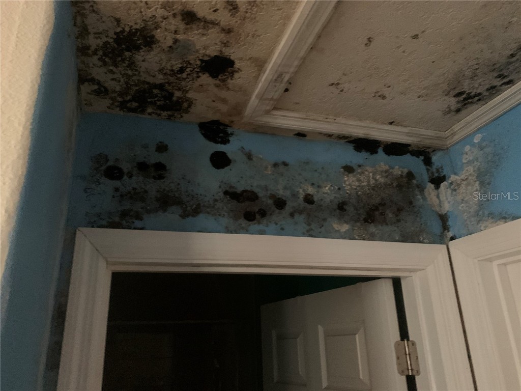 6022 E Tremont Street Inverness FL 34452 TB8354971 image8