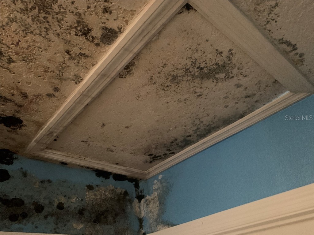 6022 E Tremont Street Inverness FL 34452 TB8354971 image9