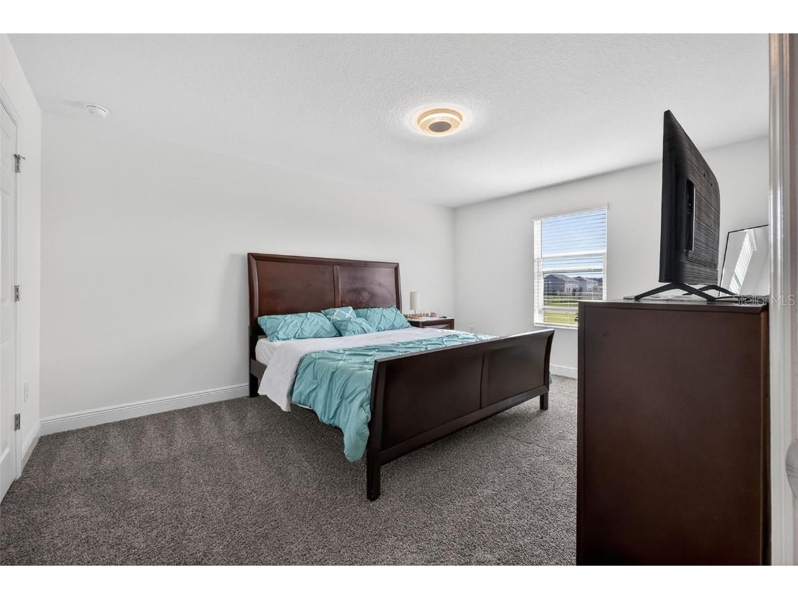6022 Sierra Crown Street Mount Dora FL 32757 V4946387 image30